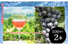 南アルプス天空舎の無添加100％ストレートスパークリング・マスカットベリーA２本 ALPAB028