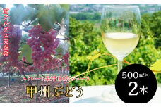 南アルプス天空舎の無添加100％ストレートジュース甲州２本 ALPAB029