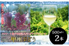 南アルプス天空舎の無添加100％ストレートスパークリング甲州２本 ALPAB030