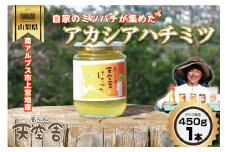 自家のミツバチが集める南アルプス上宮地産　黄金色のアカシアはちみつ　ガラスびん詰 450g １本 ALPAB022