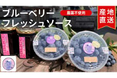 【2025年発送先行予約】南アルプス市産　【農薬不使用】フレッシュブルーベリー250ｇ+当ファーム自家製フレッシュソース2瓶ＳＥＴ　ALPBL003