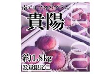 ＜2025年発送分先行予約＞山梨県南アルプス市産　高級すもも　貴陽　約1.8ｋｇ　6～9玉入り ALPAH019