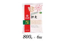1.1-9-12はくばく　押麦　800gx6個　ALPAN003