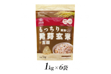 2.3-9-7はくばく　もっちり美味しい発芽玄米＋五穀　1kgx6個　ALPAN027