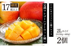 【2025年発送分先行予約】トロピカルファーム南アルプス 完熟マンゴー(アーウィン種) 糖度17度以上 ２L(約350gから449g) × ２個入り 〔ALPBH012〕