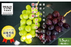 ２０２５年秋収穫先行予約 山梨県産 富士の輝＆シャインマスカット １．5ｋｇ以上／箱 ２房入 ALPAK013｜おすすめ 人気 山梨県 産地直送 フルーツ 果物 くだもの ブドウ ぶどう シャイン マスカット 黒ぶどう 高級 くだもの 国産 葡萄 新鮮