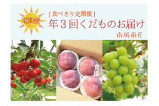 【先行予約】【食べきり定期便】年3回くだもの定期便セットC（さくらんぼ、貴陽、シャインマスカット）　 ALPAJ021