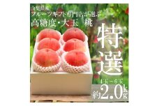 ＜2025年発送分先行予約＞山梨県南アルプス市産　高糖度　特選大玉桃　【約2ｋｇ　4～6玉】 ALPAH023