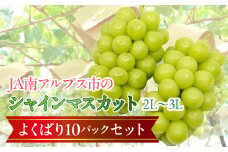 ★TBSテレビ系列「ひるおび」で取り上げられました！★＜2026年発送先行予約＞南アルプス市産シャインマスカットよくばり10パックセット（２L～３L） ALPAA006  山梨 山梨県 ぶどう 葡萄 ブドウ マスカット 種なし 大粒 フルーツ くだもの 果物 高級 新鮮 産地直送 贈答 ギフト 家庭用  大容量 セット たくさん ボリュームパック 詰め合わせ 2026年