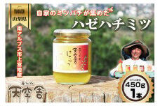 自家のミツバチが集める南アルプス上宮地産　ハゼ蜜　ガラスびん詰 450g １本 ALPAB100