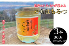 2-9-64 自家のミツバチが集める南アルプス上宮地産　ハゼ蜜　ガラスびん詰 300g ３本　ALPAB102