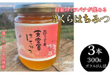 2-9-65 自家のミツバチが集める南アルプス上宮地産　さくら蜜　ガラスびん詰 300g ３本　ALPAB104