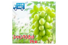 安心のクール便発送　収穫当日に産地直送　シャインマスカット　2kg（3～4房）　ALPDB003