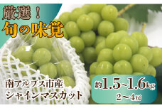 【25年発送先行予約】厳選！南アルプス市産　シャインマスカット　約1.5kg～1.6kg（2～4房） ALPDD010