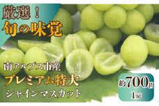 【25年発送先行予約】厳選！南アルプス市産　プレミアム特大シャインマスカット　700g以上　１房 ALPDD011