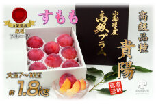 【25年発送先行予約】 南アルプス市産　『貴陽』　特選大玉約1.8kg（7～10玉） ALPDD014