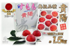 【25年発送先行予約】厳選！南アルプス市産『貴陽』　中玉約1.5kg（7～10玉） ALPDD013