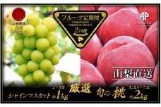 ＜2025年発送分先行予約＞厳選！南アルプス市産　『フルーツ定期２回便』 ALPDD006　| フルーツ定期便 フルーツ 果物 もも  シャインマスカット 桃 ぶどう 人気 ランキング  山梨県 山梨県産 南アルプス |
