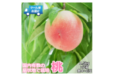【令和7年発送先行予約】クール便　収穫当日に発送　桃　1.5㎏×2箱　各箱4～6玉 ALPDG004