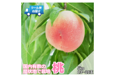 【令和7年発送先行予約】 クール便　収穫当日に発送　桃　5㎏　13～20玉 ALPDG012