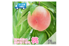 【令和7年発送先行予約】 クール便　収穫当日に発送　桃　3㎏　9～11玉 ALPDG013