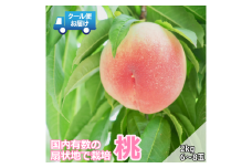 【令和7年発送先行予約】 クール便　収穫当日に発送　桃　2㎏　6～8玉 ALPDG014