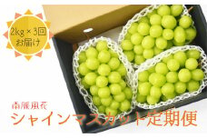 【先行予約】シャインマスカット贅沢定期便２㎏×３回 ALPAJ024