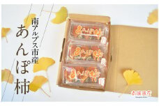 【2025年11月初旬より発送予定】5-277 南アルプス市産　あんぽ柿　９玉　ALPAJ025