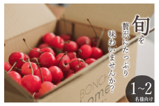 ＜2025年発送分先行予約＞山梨県産 たっぷりバラ詰めさくらんぼ 400g　 M,Lサイズ ALPAL021