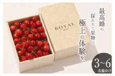 ＜2025年発送分先行予約＞山梨県産さくらんぼ  L,2Lサイズ BOX 500g ALPAL025