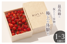 ＜2025年発送分先行予約＞ 山梨県産 さくらんぼ L ,2L サイズ BOX 250g ALPAL026