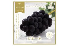 ＜2025年発送分先行予約＞南アルプス市産　旬の採れたてピオーネ　2～3房入り　約1kg ALPAH012