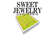 ＜2025年発送分先行予約＞山梨県南アルプス市産　シャインマスカット　粒ギフト　SWEET JEWELRY ALPAH014