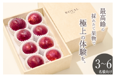 ＜2025年発送分先行予約＞南アルプス市産 大玉貴陽 8個入り 約2.1kg ALPAL012