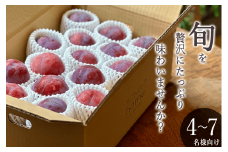 ＜2025年発送分先行予約＞南アルプス市産 たっぷり贅沢ご家庭用 貴陽 約3kg ALPAL014