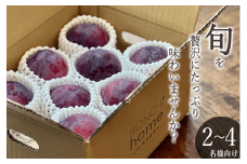 ＜2025年発送分先行予約＞南アルプス市産 たっぷり贅沢ご家庭用 貴陽 約1.5kg ALPAL015