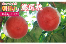 【25年発送先行予約】厳選！南アルプス市産　朝採れ桃　約4kg（8～12玉） ALPDD007