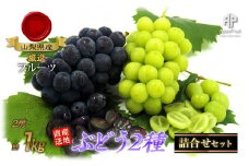 【25年発送先行予約】厳選！南アルプス市産　ぶどう２種詰合せ　2房　約1.0kg ALPDD008