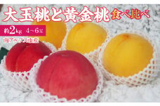 【25年発送先行予約】南アルプス市産　大玉の桃と黄金桃の食べ比べセット　約2kg（4～6玉） ALPDD015