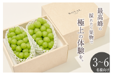 ＜2025年発送分先行予約＞南アルプス市産 大粒シャインマスカット 2房入り 約1.3kg ALPAL007