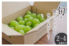 ＜先行予約2025年＞南アルプス市産 たっぷり粒詰めシャインマスカット 約1kg ALPAL009