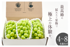 ＜2025年発送分先行予約＞南アルプス市産 大粒シャインマスカット 3房入り 約2kg ALPAL008