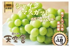 5-170 南アルプス天空舎のシャインマスカット1.8kg２～４房　ALPAB001