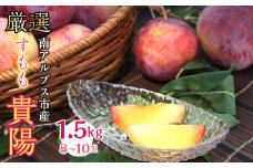 ＜2025年発送分先行予約＞厳選 貴陽すもも 約1.5kg 8玉～10玉 山梨県南アルプス市産 ALPBV008