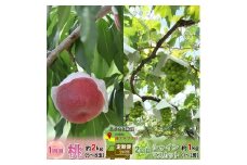 ＜2025年発送分先行予約＞厳選！2回定期便 桃2kg シャインマスカット1kｇ山梨県南アルプス市産 ALPBV011