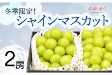 ＜2025年発送分先行予約＞冬に食べる　シャインマスカット2房 ALPAJ010　| シャインマスカット ぶどう フルーツ 冬 シャイン 2房 南アルプス市 山梨 山梨県 |