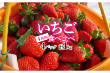 いちご食べ比べ（4種類）250ｇ×4パック ALPAG005