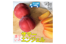 【令和7年発送先行予約】 クール便　収穫当日に発送　プラム　サマーエンジェル　1.5kg　10～12玉　ALPDG001