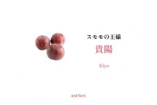 【2025年先行予約】一生に一度は食べたい！王様のひと玉【貴陽】おうち用（すもも）お試しセット 約6玉 ALPDS003