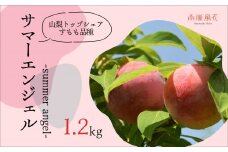 ＜2025年発送分先行予約＞農家直送！すもも　サマーエンジェル約1.2kg ALPAJ006